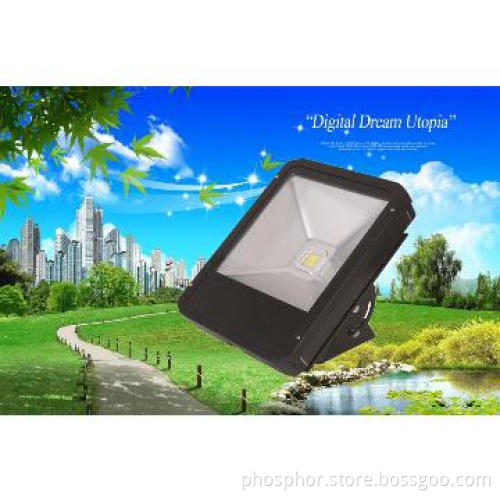 100W LED Floodlight IP65 CE /ROHS 50000H. COB LED outdoor lighting